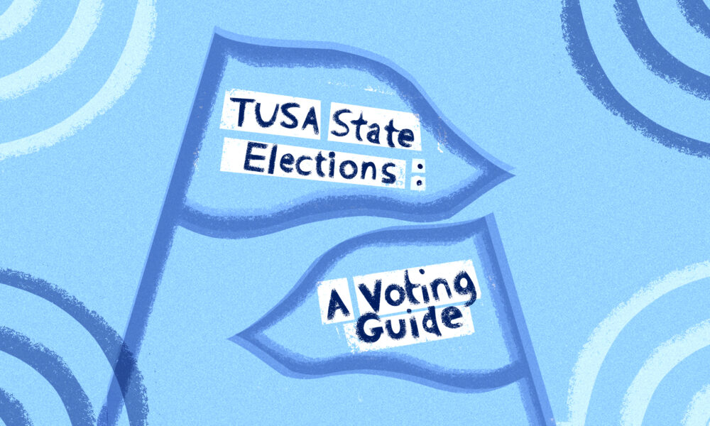 a blue graphic with drawings of triangular flags and the text TUSA State Elections: A Voting Guide