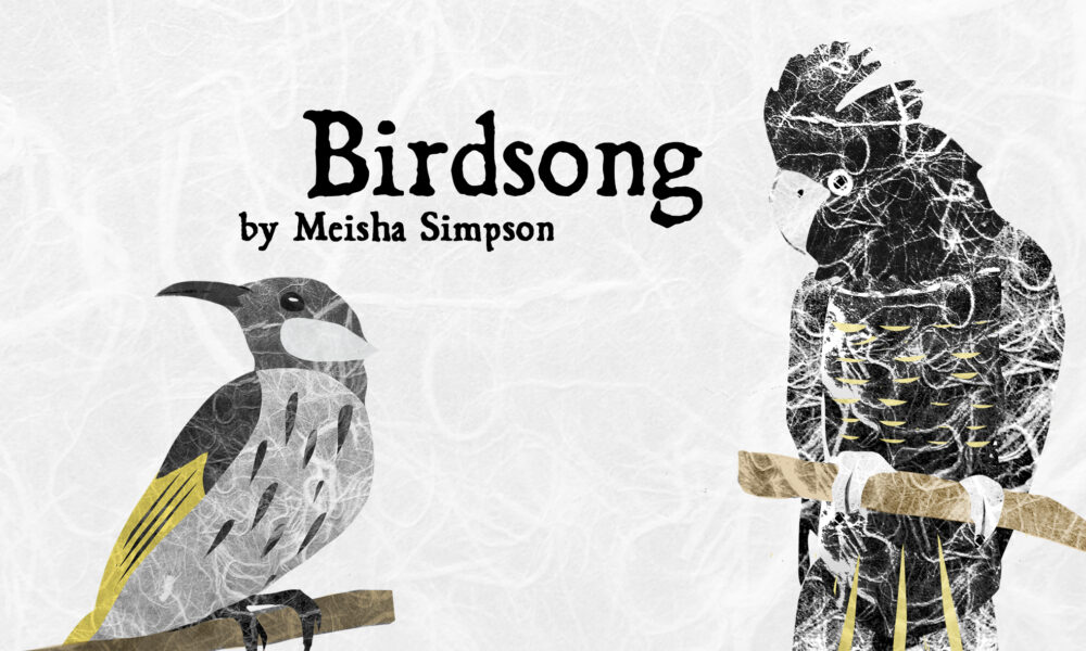 a banner with a white background and digital collages of a wattlebird and a black cockatoo with the title "Birdsong by Meisha Simpson" in black text